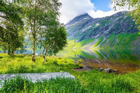 Northern summer in Scandinavia. Eidsvatnet - majestic lake in Norway. Deep lake with clean transparent water. The water reflects lush clouds, blue skies and forested shores.の写真素材