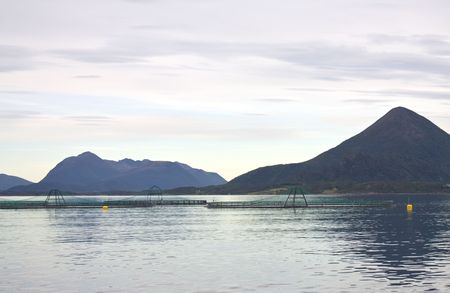 Fish farms in Norwegian fjord.の写真素材