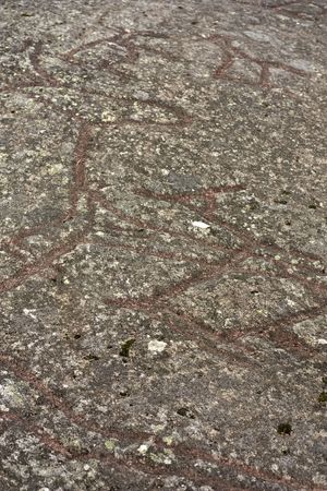 6000 years old petroglyphs from Boggestranda in Norway, showing moose and deerの写真素材