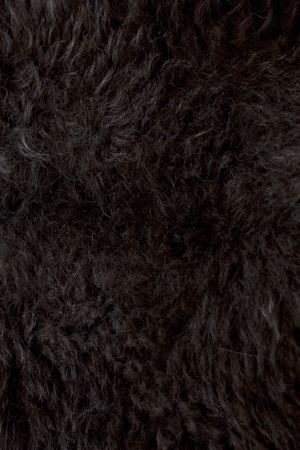 Dark brown and black wool background or textureの写真素材