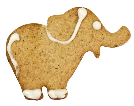 Elephant gingerbread cookie isolated on white の写真素材