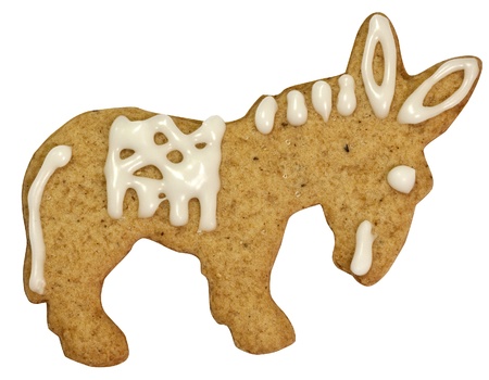 Donkey gingerbread cookie isolated on whiteの写真素材