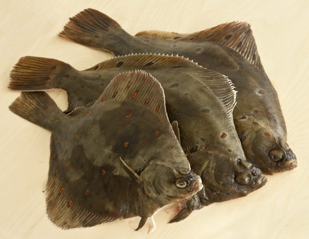 Three European plaice (Peuronected platessa) on a wooden board