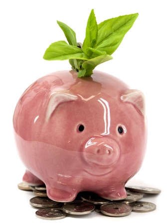 Green plant growing from a happy pink piggy bankの写真素材