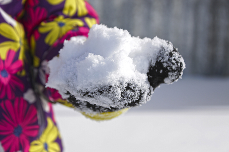 Snow in the childrens hand in mittenの写真素材