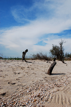Seascape of Azov Sea, Ukraine. No one on the beach. Beautiful coast.の写真素材