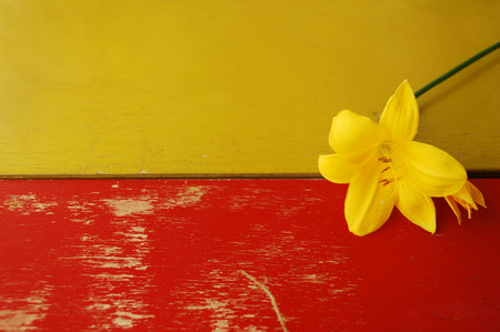 Wooden background with yellow lilies. Red and yellow painted tree background.の写真素材