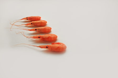 Top view of cooked shrimps isolated on white background. Cold cooked shrimp are tasty when served with cocktail sauce or added to salads.の写真素材