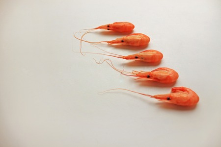 Top view of cooked shrimps isolated on white background. Cold cooked shrimp are tasty when served with cocktail sauce or added to salads.の写真素材