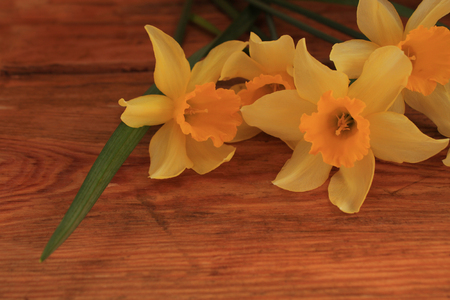 Spring easter background with daffodils flowers bouquet on wooden table. Copy space.の写真素材