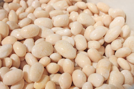 Big white kidney bean isolated on white background. Top view. Flat lay. Protein food, healthy vegetable food, vegan, diet cuisine.の写真素材