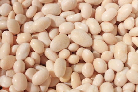 Big white kidney bean isolated on white background. Top view. Flat lay. Protein food, healthy vegetable food, vegan, diet cuisine.の写真素材