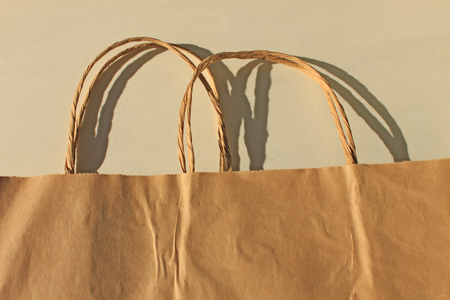 Disposable bags of kraft paper isolated, eco style living. A new paper bag concept: ecological, economical, versatile and functional.の写真素材