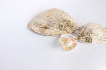 Composition of exotic sea shells and heartshaped ring on a white background, summer marine theme, copy space.の写真素材