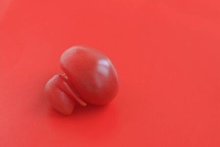 Ugly food concept, single deformed tomato on the red background, copy space, minimalistic style.の写真素材