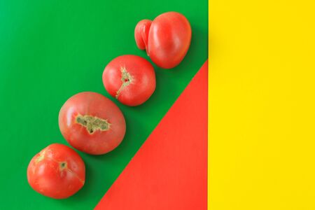 Ugly food concept, deformed tomatoes on the red, yellow and green background, copy space, minimalistic style, creative geometric image.の写真素材