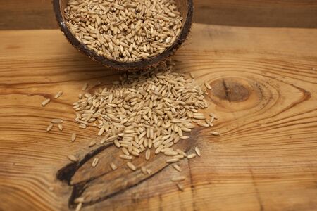 Raw oat grains in a coconut shell, low-calorie ingredient for delicious healthy breakfast on a wooden background, copy space. Nutritious whole grains, wholesome goodness and great tasting variety.の写真素材