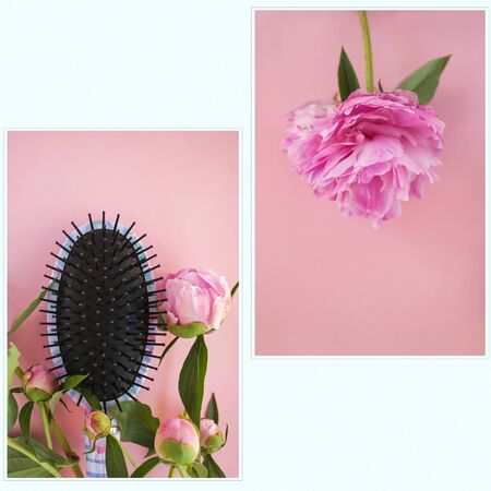 Beautiful pink peony flowers and haircomb on a pink background. Photo set, beauty collage, pattern. The texture of a peony. Flat lay, top view.の写真素材