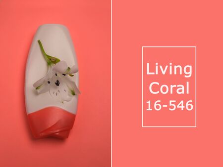 Background in Living Coral color. Place for text. Renovation concept. Color trends of the year. Cosmetic bottle with white flower on top. Minimalistic style. Creative image.の写真素材