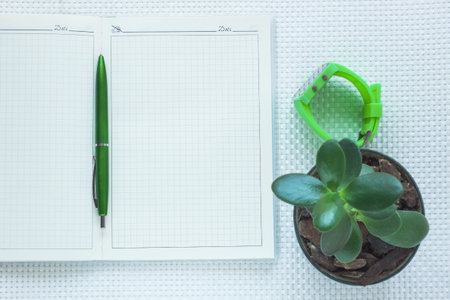Fashion notebook, green wrist watch, succulent Money tree in a pot and pen on white textured...