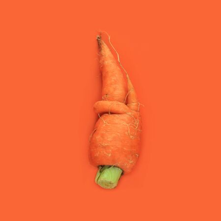 Carrot on orange background flatlay, top view. Vegetables raw, vegan, ugly food concept, photo pattern. Abstract wallpaper. Creative minimalism.の写真素材