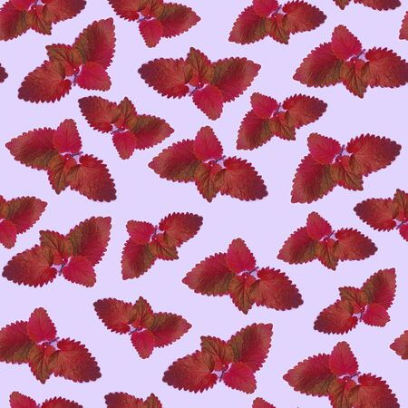 Mint leaves seamless pattern made of photography. Bright greens on pastel backgroundの写真素材