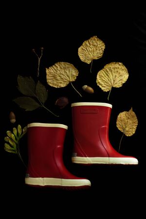 Red rubber boots on a black background. Autumn fall concept with colorful leaves and rain shoes flatlay, top view, copy space. Green umbrella for a cold rainy weather.の写真素材