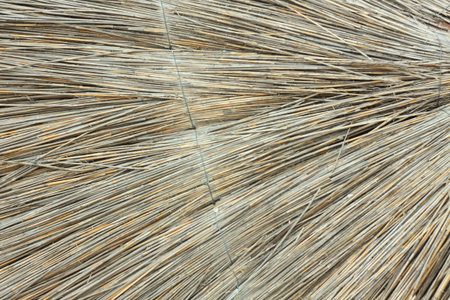 Straw umbrellas on an empty beach on a foggy day. Rainy cold weather on the sea coast. Screensaver...