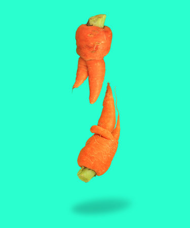 Ugly food. Deformed carrots on trendy aqua turquoise background. Bright juicy colors. Misshapen...