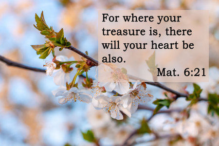 Bible quotes on blurred nature background. Card with text sign for believers. Inspirational thoughts...