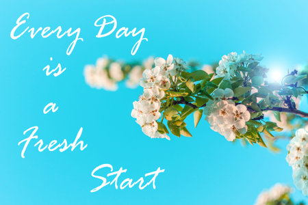 Every Day is a Fresh Start card. Wild Pear tree blossom. Horizontal banner with white flowers on cyan color blurred sky backdrop with bokeh lights. Nature spring background of blooming fruit branch.の写真素材