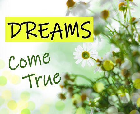 Dreams Come True text sign. Blooming camomiles bouquet green leaves. Blurred bokeh lights flowers background selective focus. Love greeting card. Motivation inspirational quotes for successful peopleの写真素材