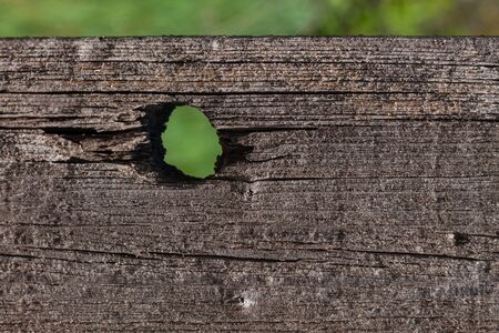Blank wooden texture mockup with hole for display text. Copy space for sign on natural background. Old wood board backdrop surface, horizontal blurred nature wallpaper.Social media advertising banner.の写真素材