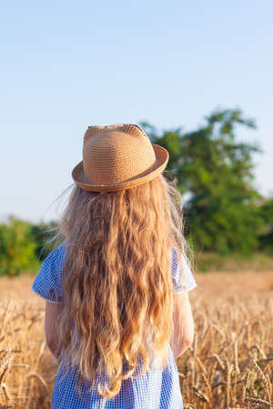 Adorable little girl in a straw hat and blue plaid summer dress in wheat field. Child with long blonde wavy hair on countryside landscape with spikelet in hand. Farming agriculture harvesting concept.の写真素材