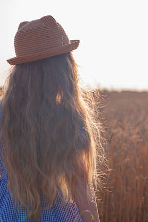 Adorable little girl in a straw hat and blue plaid summer dress in wheat field. Child with long blonde wavy hair on countryside landscape with spikelet in hand. Farming agriculture harvesting concept.の写真素材