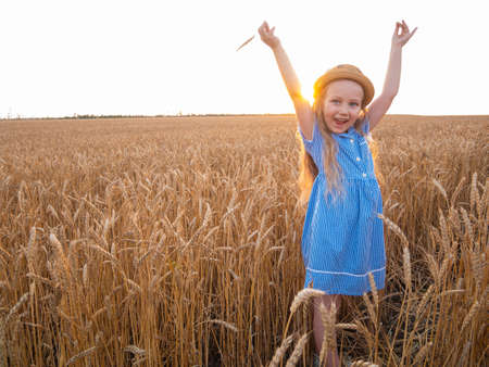 Adorable little girl in a straw hat and blue plaid summer dress in wheat field. Child with long blonde wavy hair on countryside landscape with spikelet in hand. Farming agriculture harvesting concept.の写真素材