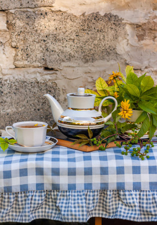 Book, autumn leaves flowers, tea cup on wooden bench with green wild grape branch. Warm herbal drink. White porcelain tea-set. Hot brewed natural beverages on fresh air. Cozy fall weekend breakfast.の写真素材