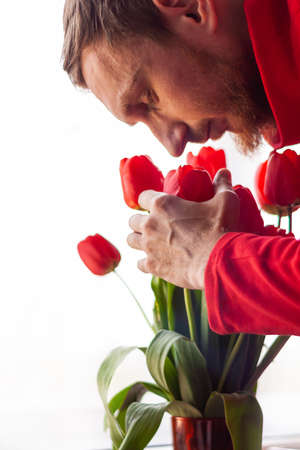 Man smelling a bouquet of amazing red tulips on window selective focus. Fresh flowers in vase vertical advertising banner minimalism style. Spring blooming greeting card Mothers Womens day.の写真素材