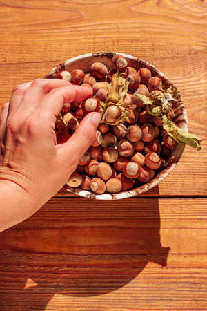 Hazelnuts in a bowl on rustic wooden background. Raw fresh home garden growing nuts in female hand top view natural shadow. Organic dietary fiber, protein, vitamins source, healthy weight loss diet.の写真素材