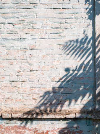 Palm leaves shadows on old light blue brick wall background. Creative minimalism trendy backdrop for advertising design. Natural summer texture with tropical plants silhouettes. Palms wallpaper.の写真素材
