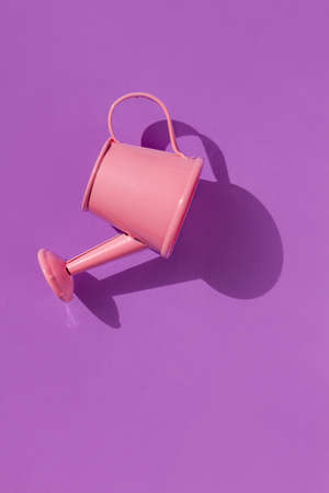 Pink watering can on pastel purple background flat lay with shadow Creative minimalism pop art composition copy space. Valentines day banner minimal style. Romantic love backdrop greeting card designの写真素材