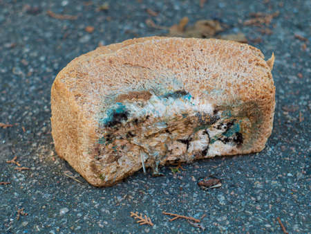 Old bread with colorful mold on asphalt background. Rotten ugly food waste. Poisonous infected toxic fungi danger for health. Moldy household garbage.の写真素材