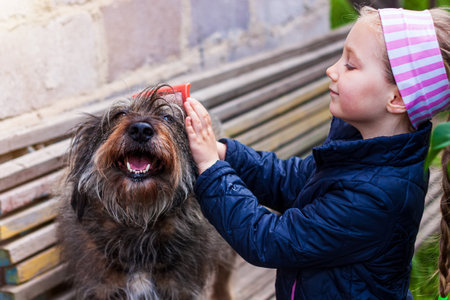 young girl combing the dog.の写真素材