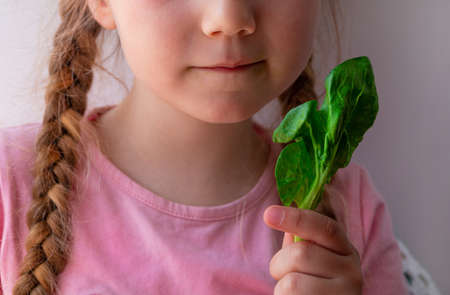 Little girl with fresh spinach in hand white background. Child eats natural raw clean food. Leaf vegetables vitamin Organic vegetarian meal superfood, nutritious smoothie salad vegan healthy lifestyleの写真素材
