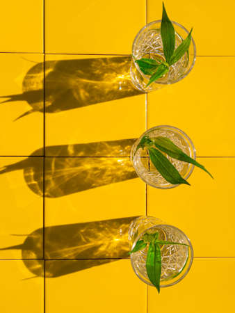 Refreshing summer drinks in crystal glasses with green leaves yellow tile background with harsh shadows. Sweet cold natural cocktail hot summer day. Non alcoholic soda water mint tonic. Party vacationの写真素材