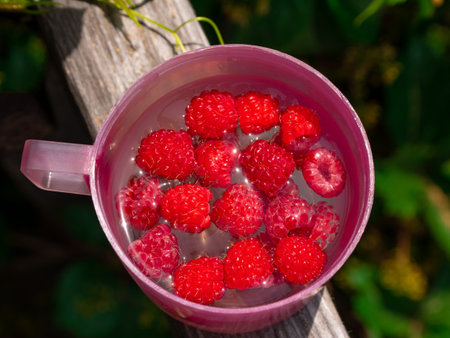 Raspberry tea with fresh berries in pink cup on balcony sunny day. Berries healthy summer herbal...