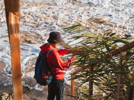 Bearded millennial man in red hoody backpack with smartphone taking photo of autumn sea dry reeds....