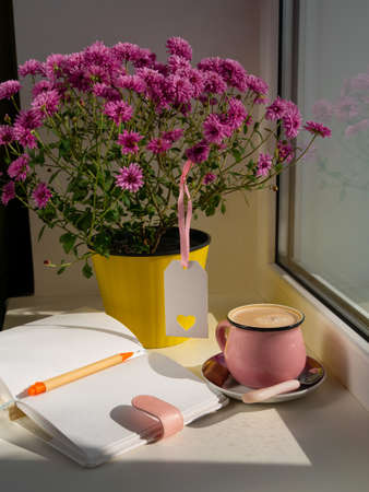 Coffee cup chocolate notebook beautiful pink autumn Chrysanthemum flowers in yellow pot on window. Cozy home vibes fall mood Urban spaces plants Drinking hot cocoa in cold weather Good morning conceptの写真素材