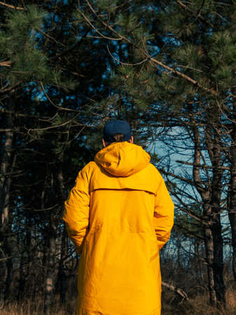 Traveler man in yellow coat walking in fall pine forest sunny weather back view faceless. Authentic male tourist lifestyle. Hipster guy outdoor Solo travel adventure concept Active walking backpackingの写真素材