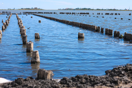 Black muddy waves of healing mud. Spa treatments on the sea shore for patients. Beauty health and...